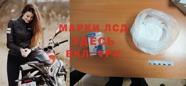 индика Алексин