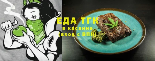 индика Алексин