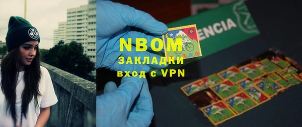 индика Алексин