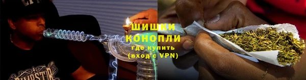 ПСИЛОЦИБИНОВЫЕ ГРИБЫ Алзамай