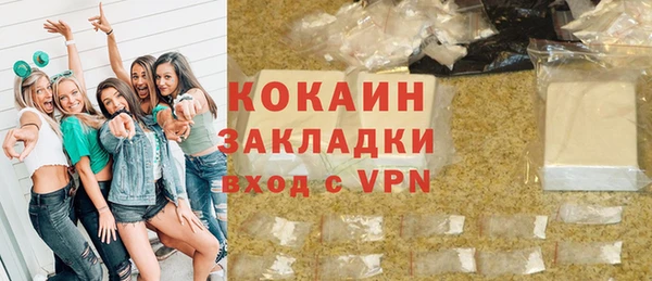 индика Алексин