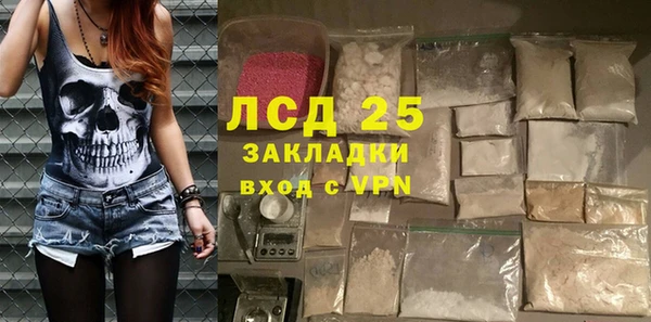 ПСИЛОЦИБИНОВЫЕ ГРИБЫ Алзамай