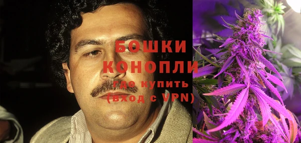 ГАЛЛЮЦИНОГЕННЫЕ ГРИБЫ Покровск