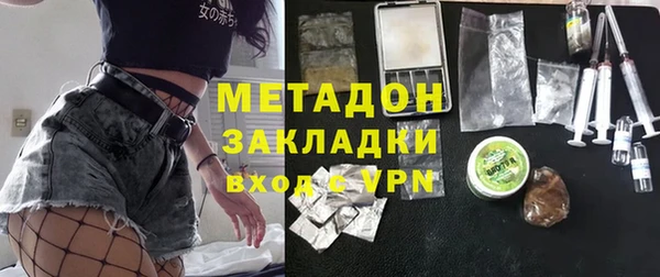 индика Алексин