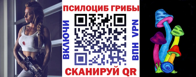 блэк спрут вход  Березники  Псилоцибиновые грибы Cubensis 