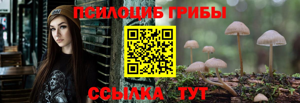 Галлюциногенные грибы Psilocybine cubensis  Вход с VPN  где продают наркотики  Березники 